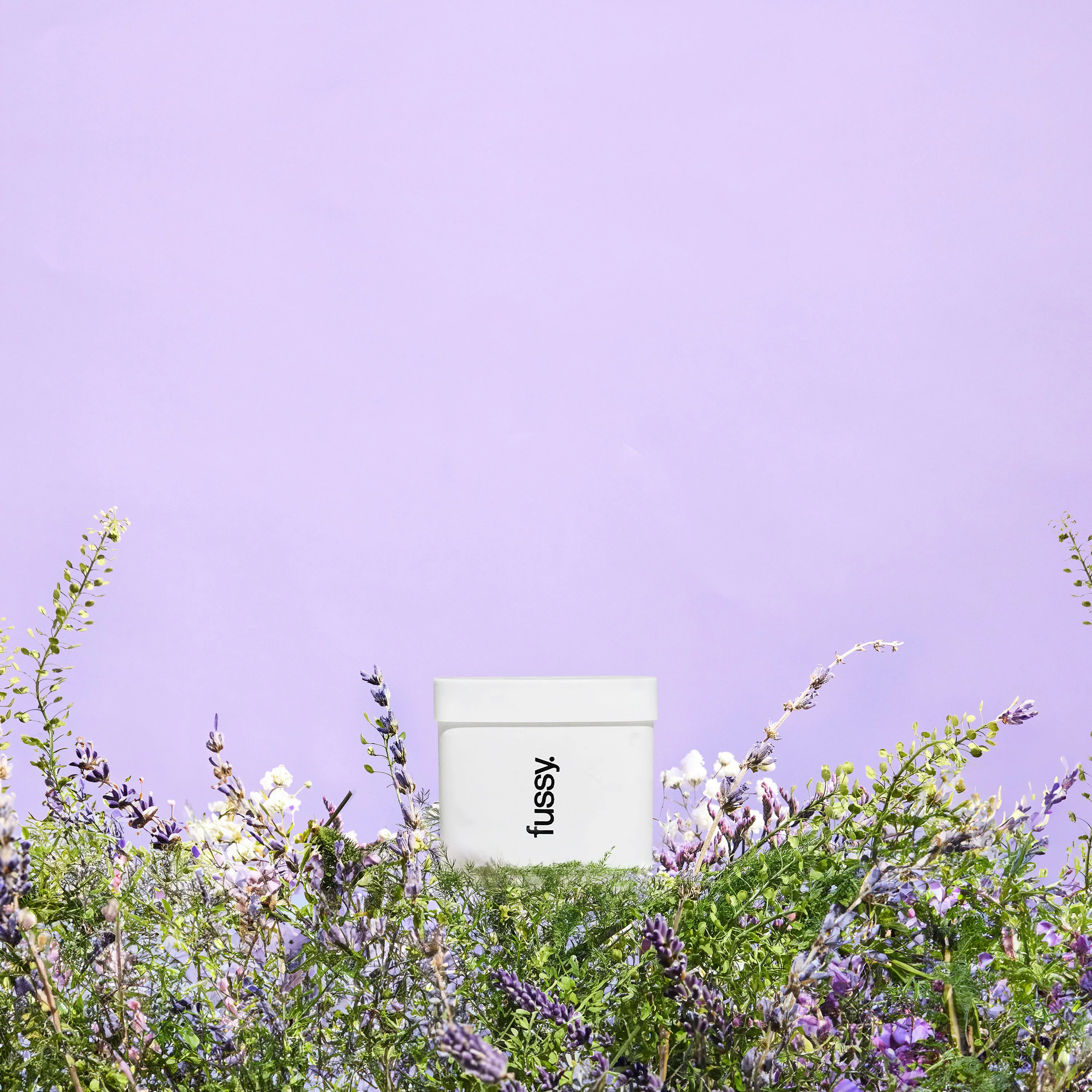 Refills - Image 18