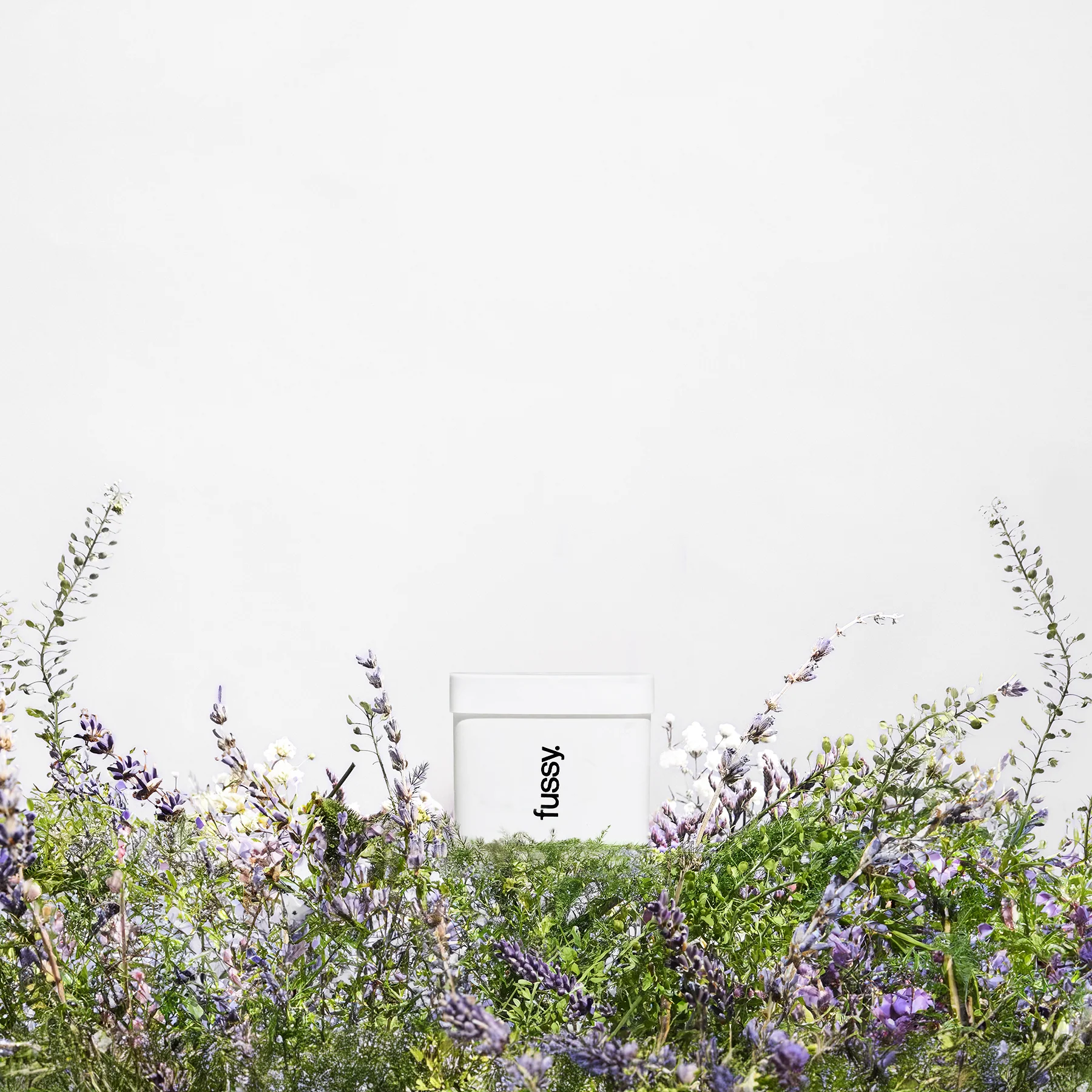 Refills - Image 8